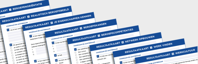 Screenshot_2019-11-29 Checklist ONA-portfolio