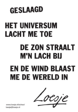 Screenshot_2019-11-29 loesje quotes - Google zoeken